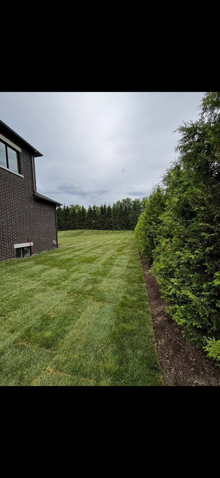 Modern brick house with manicured lawn and green hedges, forest in background under cloudy sky