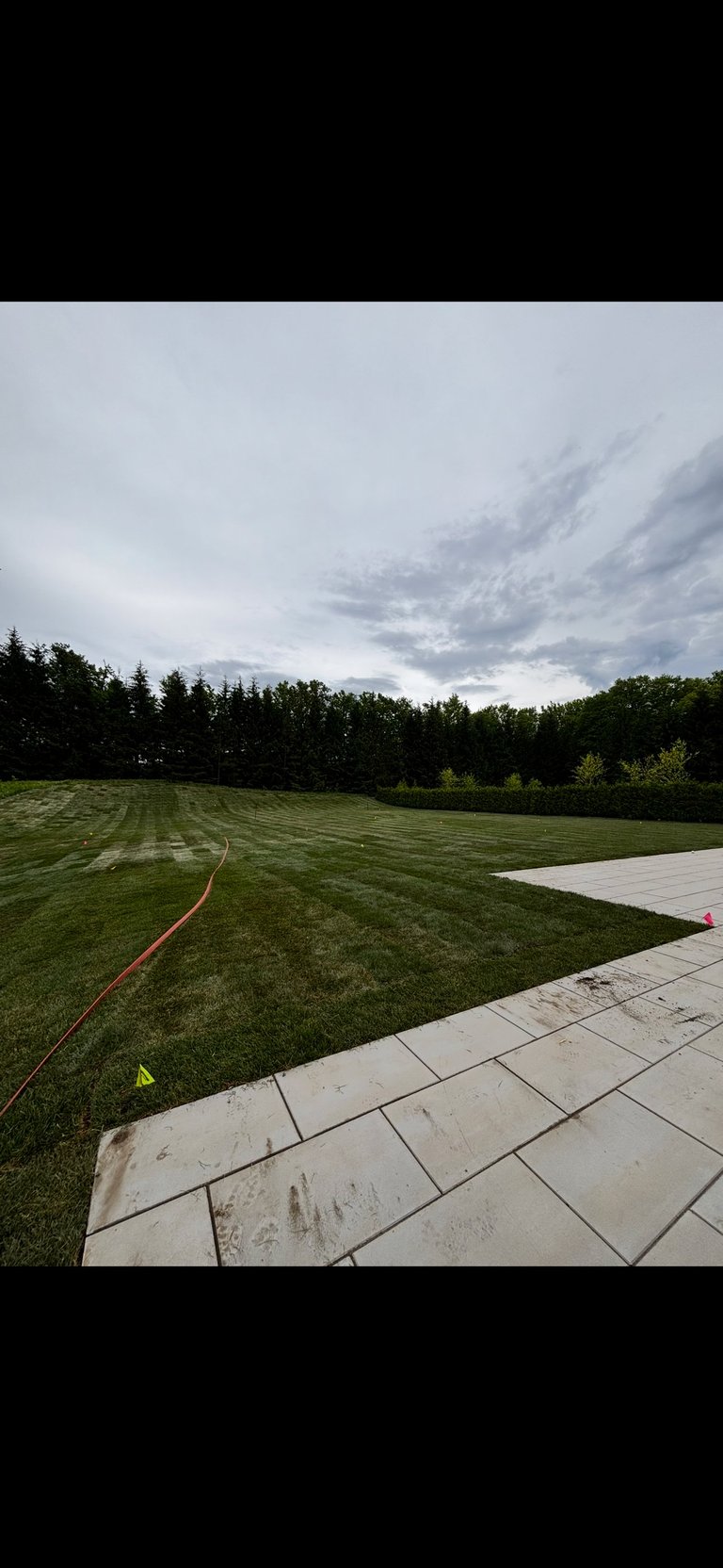 Expansive lawn with paved patio under dramatic cloudy sky, bordered by dense evergreen forest