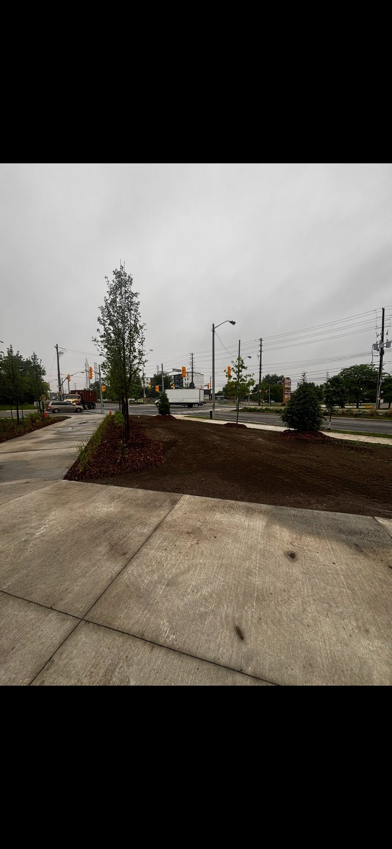 Newly landscaped street corner with fresh mulch, young trees, and power lines under overcast sky